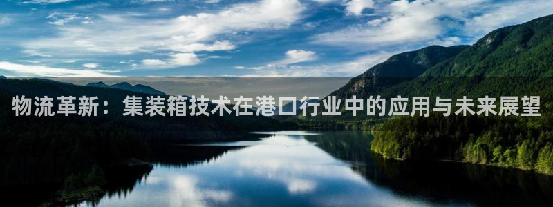 旺财28官方官网版：物流革新：集装箱