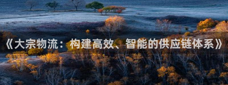 旺财28登录用户名登录不上：《大宗物
