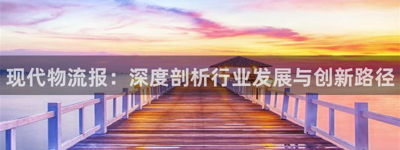 旺财28麻将胡了：现代物流报：深度剖
