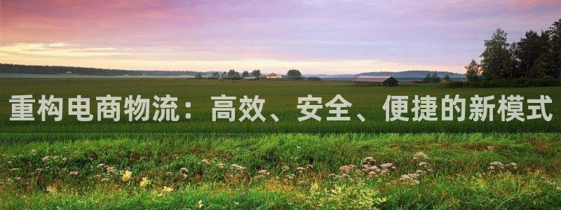 旺财28如何退款：重构电商物流：高效