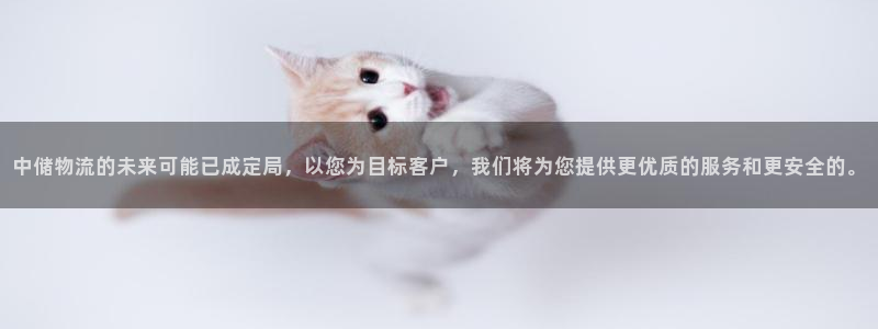 旺财28官方平台：中储物流的未来可能