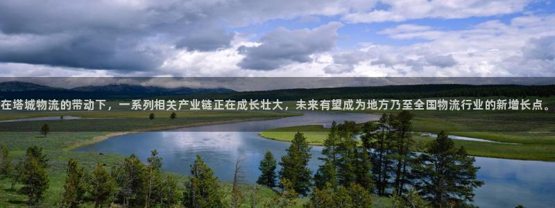 旺财28加拿大开奖：在塔城物流的带动