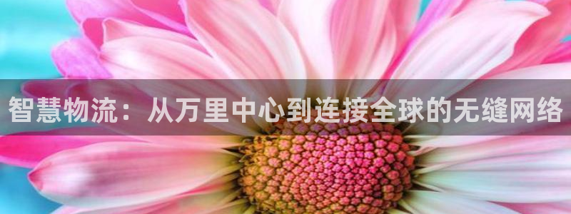 旺财28软件是什么：智慧物流：从万里