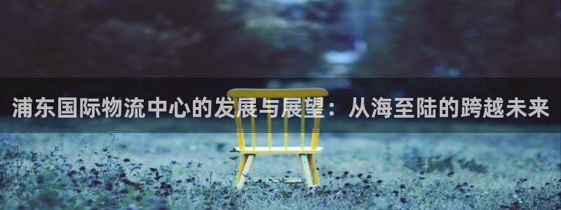 旺财28如何注销账号：浦东国际物流中