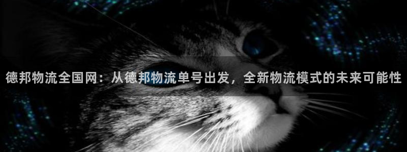 旺财28技巧
