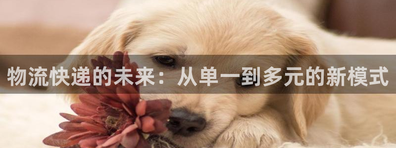 旺财28p扣款什么意思：物流快递的未