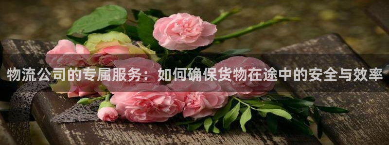 旺财28官网下载谁有：物流公司的专属