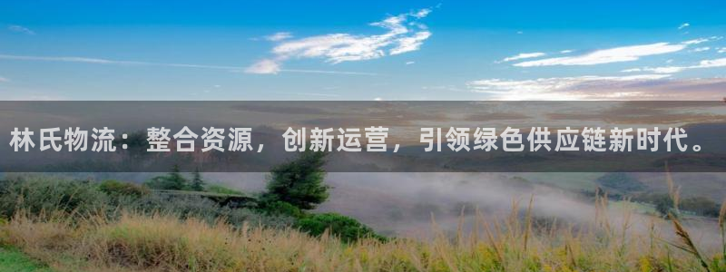 旺财28预测：林氏物流：整合资源，创