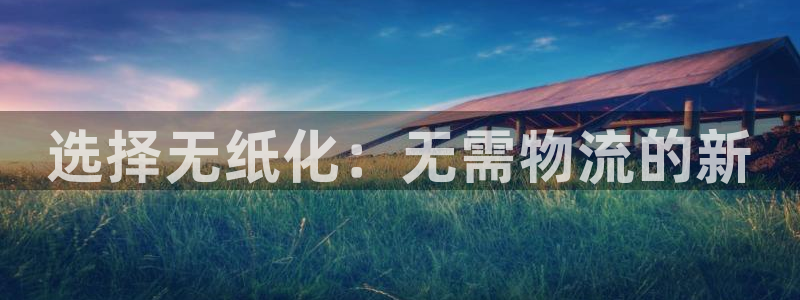 旺财28入口问一问：选择无纸化：无需物流的新