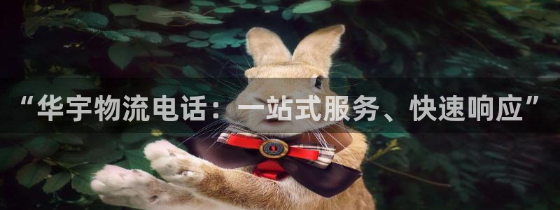 旺财28圈：“华宇物流电话：一站式服务、快速响应”