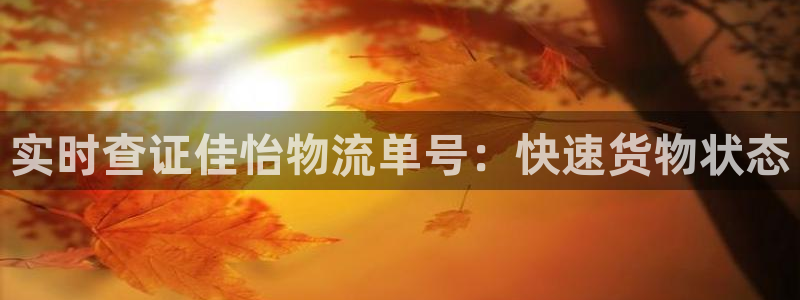 旺财28官网入口2024：实时查证佳