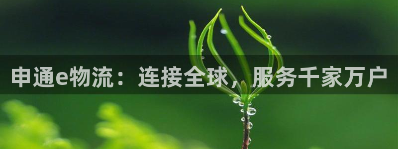 旺财28机器人是什么软件：申通e物流：连接全球，服务千家万户