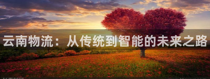旺财28可以退款吗