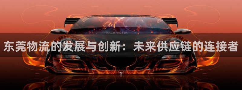 旺财28犯法吗：东莞物流的发展与创新