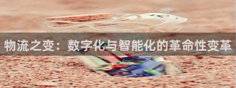 旺财28头像:物流之变:数字化与智能
