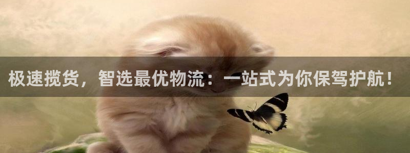 旺财28注册：极速揽货，智选最优物流