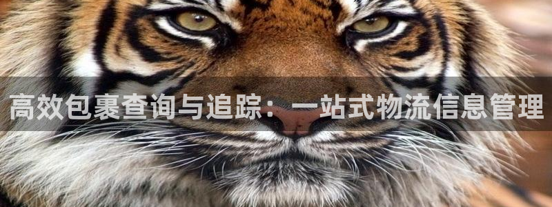旺财28充值不到账：高效包裹查询与追