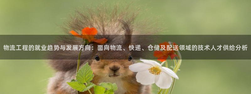 旺财28账号注册：物流工程的就业趋势与发展方向：面向物流、快