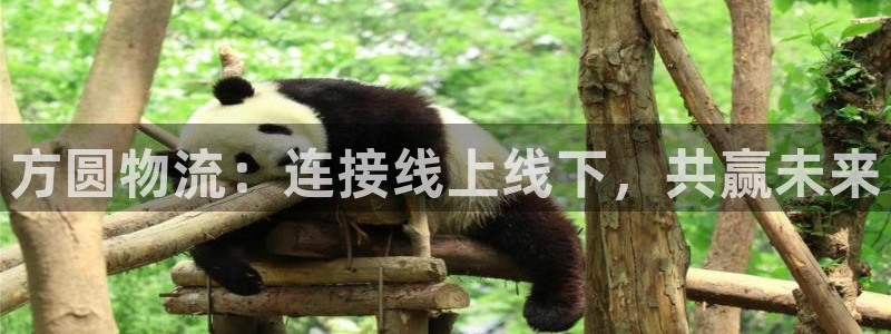 旺财28农业银行是狗卡吗：方圆物流：