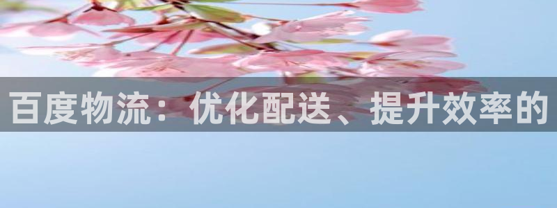 旺财28客服一直不回消息怎么办：百度物流：优化配送、提升效率