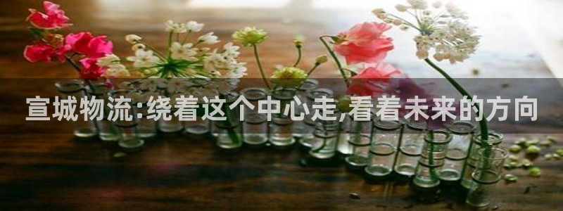 旺财28下载入口：宣城物流:绕着这个中心走,看着未来的方向