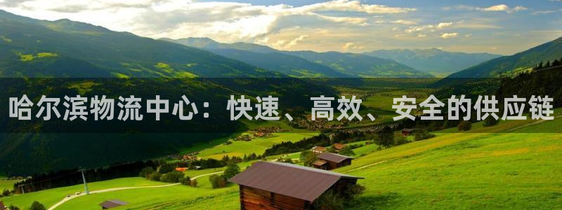 旺财28麻将胡了爆分视频：哈尔滨物流