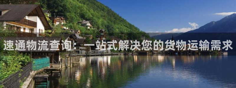 旺财28推广链接是多少：速通物流查询