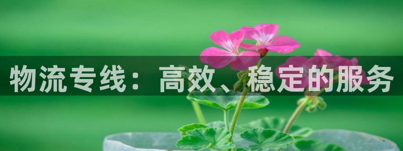 旺财28昵称：物流专线：高效、稳定的