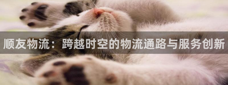 旺财28可以退款吗：顺友物流：跨越时空的物流通路与服务创新