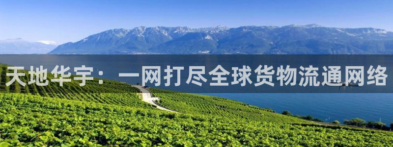 旺财28官网版下载：天地华宇：一网打