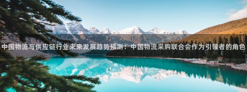 旺财28充值不处理怎么办