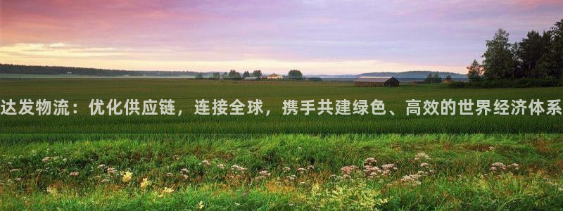 旺财28玩法：达发物流：优化供应链，连接全球，携手共建绿色、