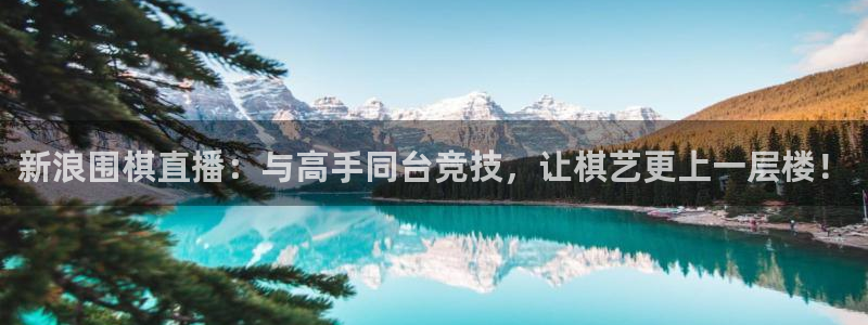 jrkan直播篮球体育网：新浪围棋直播：与高手同台竞技，让棋艺更上一层楼！