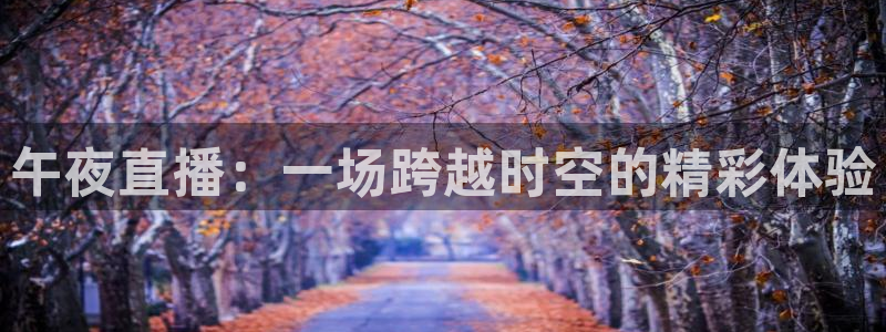 jrkan2022直播体育网：午夜直播：一场跨越时空的精彩体验