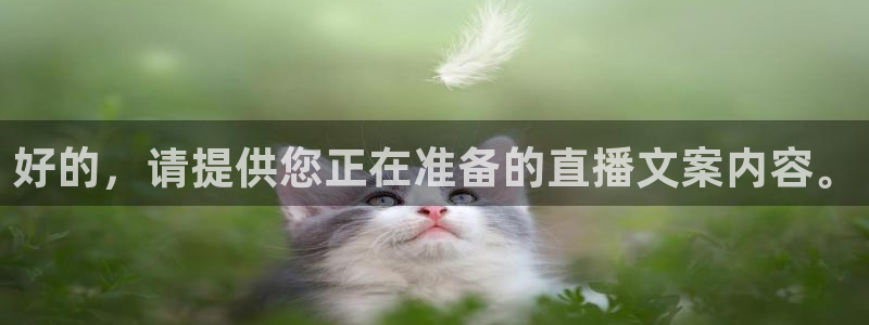 jr看球直播：好的，请提供您正在准备的直播文案内容。