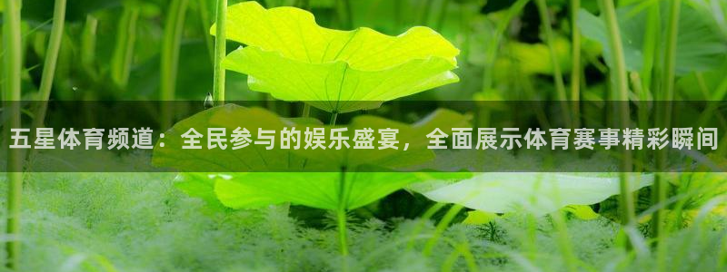 jr看球直播网：五星体育频道：全民参与的娱乐盛宴，全面展示体育赛事精彩瞬间