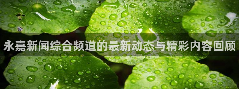jrkan低调看高清直播nba：永嘉新闻综合频道的最新动态与精彩内容回顾