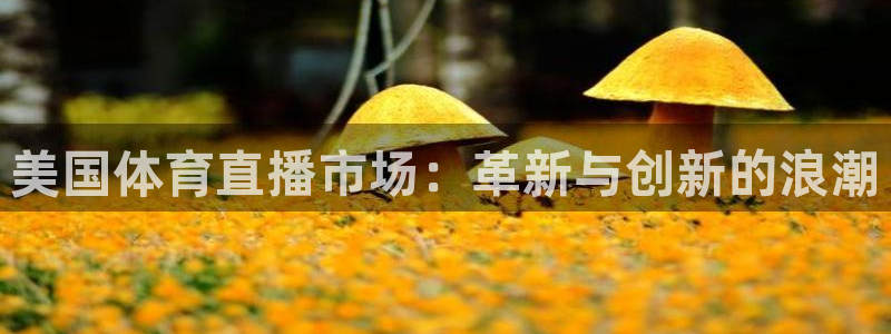 jrkan直播免费高清体育直播：美国体育直播市场：革新与创新的浪潮